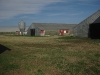 chicken houses