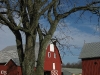 Pop-pop's Farm