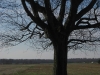 Farm019