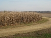 Farm027