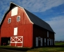 Farm036