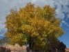 sedona004