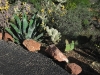 sedona016