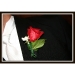 11boutonniere