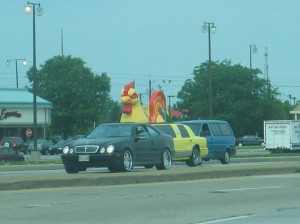 Chicken Limo!