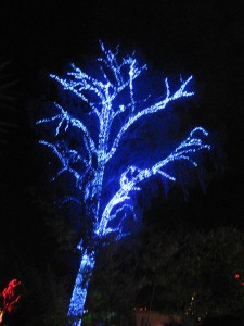 4dec 005