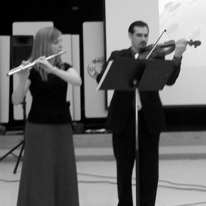 fluteviolin