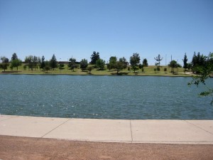 Picnic0005