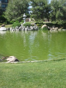 Garden0008