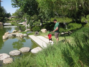 Garden0013