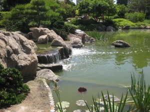 Garden0016