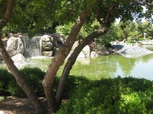 Garden0018